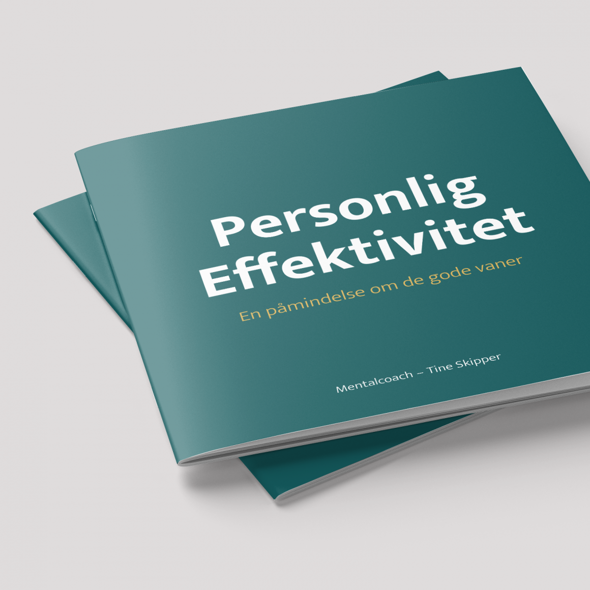 Online dagskursus: Personlig Effektivitet